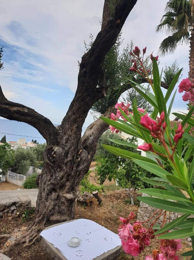 Apartman Veliki Pijesak Dobrá Voda Exterior foto